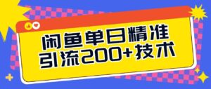 闲鱼单日引流200+技术，轻松好入手-中创网_分享创业项目_助您在家赚钱