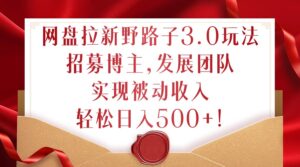 网盘拉新野路子3.0玩法，招募博主，发展团队，实现被动收入，轻松日入500+【揭秘】-中创网_分享创业项目_助您在家赚钱