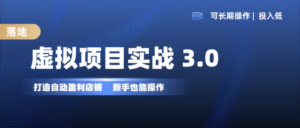 虚拟项目实操落地 3.0,新手轻松上手,单品月入1W+-中创网_分享创业项目_助您在家赚钱