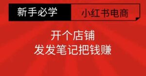 小红书零食共创【新手易上手】开个店铺,发发笔记把钱赚-中创网_分享创业项目_助您在家赚钱
