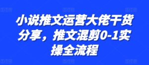 小说推文运营大佬干货分享,推文混剪0-1实操全流程-中创网_分享创业项目_助您在家赚钱