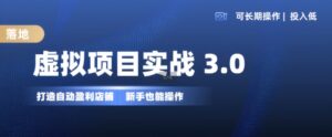 虚拟项目实战3.0,打造自动盈利店铺,可长期操作投入低,新手也能操作-中创网_分享创业项目_助您在家赚钱