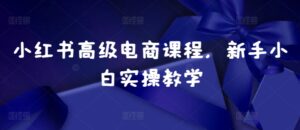 小红书高级电商课程,新手小白实操教学-中创网_分享创业项目_助您在家赚钱