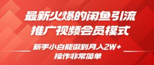 闲鱼引流推广影视会员,0成本就可以操作,新手小白月入过W+【揭秘】-中创网_分享创业项目_助您在家赚钱