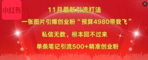 小红书11月最新图片打粉,一张图片引爆创业粉,“预算4980带我飞”,单条引流500+精准创业粉-中创网_分享创业项目_助您在家赚钱