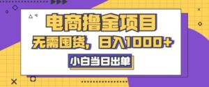 电商撸金项目，无需囤货，日入几张，小白当日出单，人性玩法，复购不断-中创网_分享创业项目_助您在家赚钱