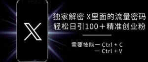 独家解密 X 里面的流量密码，复制粘贴轻松日引100+-中创网_分享创业项目_助您在家赚钱