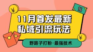 11月首发最新私域引流玩法,自动克隆爆款一键改写截流自热一体化 日引300+精准粉-中创网_分享创业项目_助您在家赚钱
