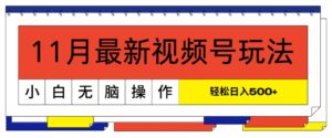 11月最新视频号玩法，完美解读轻松过原创，当天起号，小白轻松日入几张-中创网_分享创业项目_助您在家赚钱