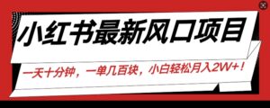小红书最新风口项目，一天只用10分钟，一单几百块，小白简单无脑操作!-中创网_分享创业项目_助您在家赚钱