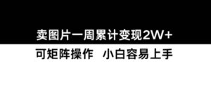 小红书【卖图片】一周累计变现2W+小白易上手-中创网_分享创业项目_助您在家赚钱