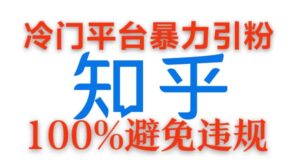 冷门平台暴力引流,日引100+创业粉,0成本100%避免违规的玩法-中创网_分享创业项目_助您在家赚钱