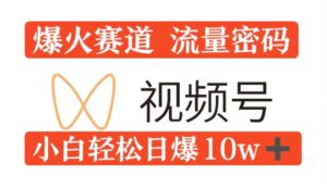 0粉在视频号爆火赛道流量密码,模式全方位,小白轻松日爆10w+流量-中创网_分享创业项目_助您在家赚钱