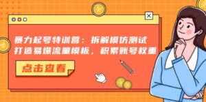(13184期)暴力起号特训营:拆解模仿测试,打造易爆流量模板,积累账号权重-中创网_分享创业项目_助您在家赚钱
