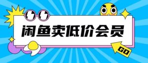 外面收费998的闲鱼低价充值会员搬砖玩法号称日入200+-中创网_分享创业项目_助您在家赚钱