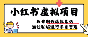 小红书虚拟项目实战,爆款笔记制作,矩阵放大玩法分享-中创网_分享创业项目_助您在家赚钱