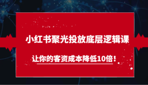 小红书聚光投放底层逻辑课,让你的客资成本降低10倍!-中创网_分享创业项目_助您在家赚钱