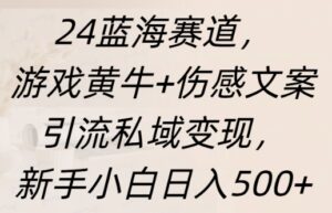 蓝海赛道,游戏黄牛+伤感文案引流私域变现,新手小白日入多张-中创网_分享创业项目_助您在家赚钱