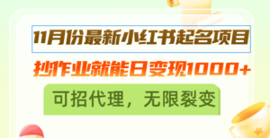 (13256期)11月份最新小红书起名项目,抄作业就能日变现1000+,可招代理,无限裂变-中创网_分享创业项目_助您在家赚钱