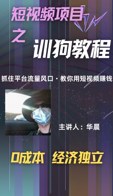(训狗教程)训狗教学项目,详细教程讲解,月入1w+