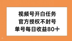 视频号开白任务，官方授权不封号，单号每天稳定收益80+-中创网_分享创业项目_助您在家赚钱