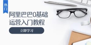 (13291期)阿里巴巴运营零基础入门教程:涵盖开店、运营、推广,快速成为电商高手-中创网_分享创业项目_助您在家赚钱