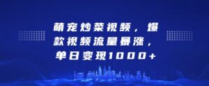 萌宠炒菜视频，爆款视频流量暴涨，单日变现1k-中创网_分享创业项目_助您在家赚钱