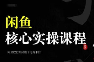 2024闲鱼核心实操课程,从养号、选品、发布、销售,教你做一个出单的闲鱼号-中创网_分享创业项目_助您在家赚钱