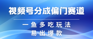 视频号创作者分成计划偏门类目，容易爆流，实拍内容简单易做-中创网_分享创业项目_助您在家赚钱