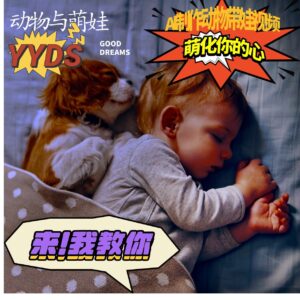 AI制作动物与萌娃互动视频,瞬间萌化你的心,粉丝大米一起收货!-中创网_分享创业项目_助您在家赚钱