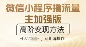 微信小程序撸流量主加强版，高阶变现方法，日收益多张-中创网_分享创业项目_助您在家赚钱
