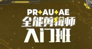 PR+AU+AE全能剪辑师入门班,剪辑入门必学课程-中创网_分享创业项目_助您在家赚钱