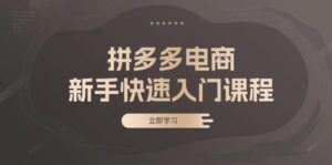 (13289期)拼多多电商新手快速入门课程:涵盖基础、实战与选款,助力小白轻松上手-中创网_分享创业项目_助您在家赚钱