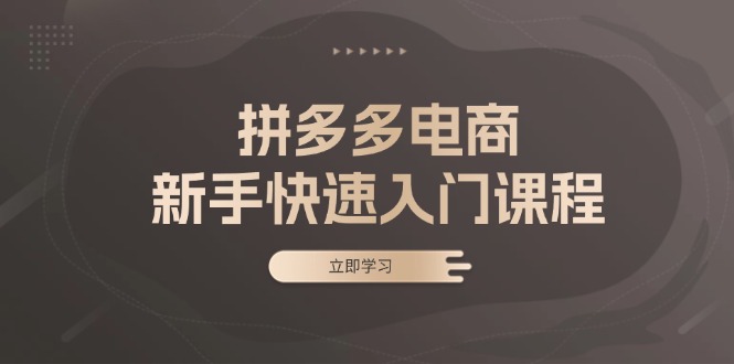 （13289期）拼多多电商新手快速入门课程：涵盖基础、实战与选款，助力小白轻松上手-中创网_分享创业项目_助您在家赚钱