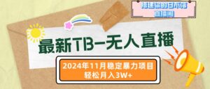 (13243期)最新TB-无人直播 11月最新,打造你的日不落直播间,轻松月入3W+-中创网_分享创业项目_助您在家赚钱