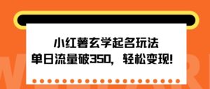 小红薯玄学起名玩法，单日流量破350+，轻松变现-中创网_分享创业项目_助您在家赚钱