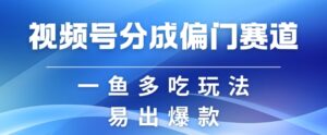 视频号创作者分成计划偏门类目，容易爆流，实拍内容简单易做【揭秘】-中创网_分享创业项目_助您在家赚钱