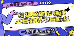 (13283期)无脑操作,只要发视频就能赚钱?不看播放不看粉丝,小白轻松上手,一天...-中创网_分享创业项目_助您在家赚钱