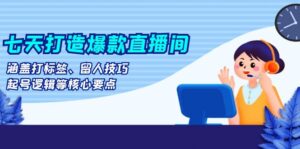 (13382期)七天打造爆款直播间:涵盖打标签、留人技巧、起号逻辑等核心要点-中创网_分享创业项目_助您在家赚钱