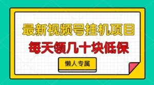 (13452期)视频号挂机项目,每天几十块低保,懒人专属-中创网_分享创业项目_助您在家赚钱