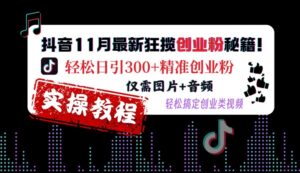 抖音11月最新狂揽创业粉秘籍,轻松日引300+精准创业粉,仅需图片+音频,轻松搞定创业类视频-中创网_分享创业项目_助您在家赚钱