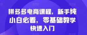 拼多多电商课程，新手纯小白必看，零基础教学快速入门-中创网_分享创业项目_助您在家赚钱
