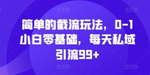 简单的截流玩法，0-1小白零基础，每天私域引流99+【揭秘】-中创网_分享创业项目_助您在家赚钱