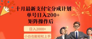 11月最新支付宝分成计划，单号日入200+，矩阵操作后，小白也能轻松上手-中创网_分享创业项目_助您在家赚钱