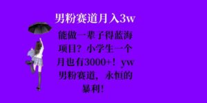 能做一辈子的蓝海项目？小学生一个月也有3000+，yw男粉赛道，永恒的暴利-中创网_分享创业项目_助您在家赚钱