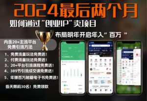 (13322期)2024最后两个月如何通过”创业IP“卖项目年入”百万“,创业IP+最强引流...-中创网_分享创业项目_助您在家赚钱
