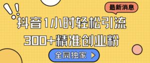 全网独家抖音引流，轻松日引300+精准创业粉【揭秘】-中创网_分享创业项目_助您在家赚钱