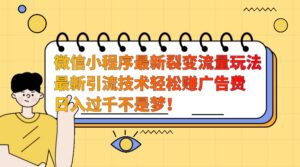 微信小程序最新裂变流量玩法,时间自由收益高轻松赚广告费,日入过千不是梦!-中创网_分享创业项目_助您在家赚钱