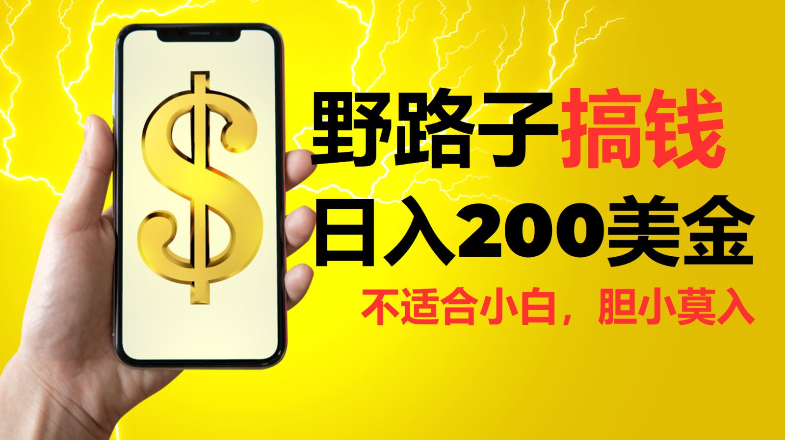 挂机野路子搞钱，日入200美金，路子很野，小白莫入-中创网_分享创业项目_助您在家赚钱
