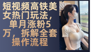 （13319期）短视频高铁美女热门玩法，单月涨粉5万，拆解全套操作流程-中创网_分享创业项目_助您在家赚钱